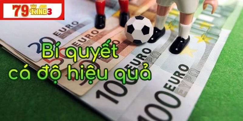 Kinh nghiệm cá độ bóng đá từ cao thủ