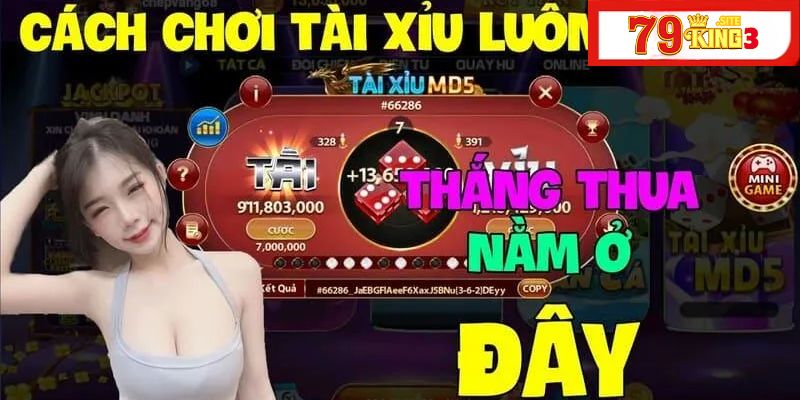 Kinh Nghiệm Đánh Tài Xỉu 79king3 Chi Tiết Cho Người Mới